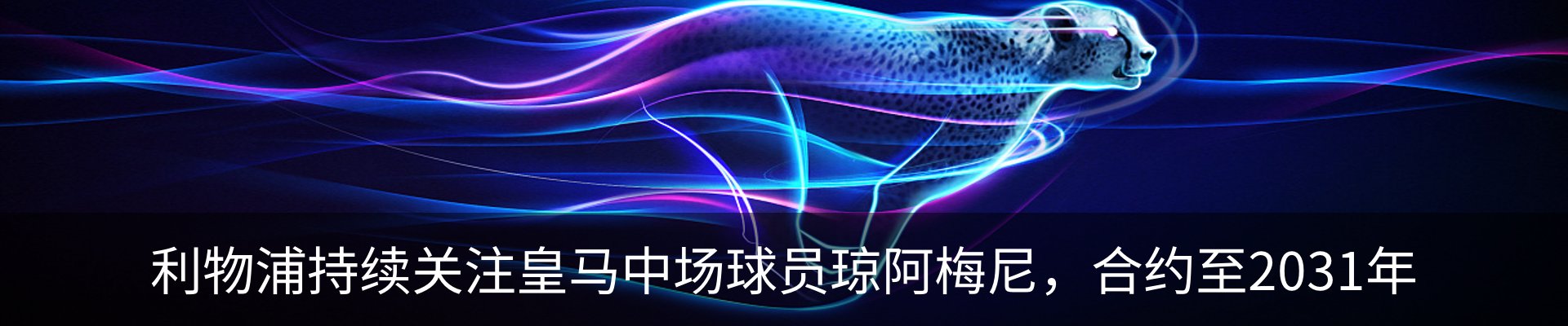 资讯动态